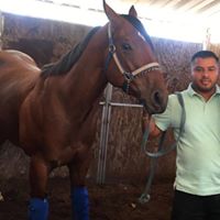 Martin Moreno's profile image