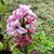 Gina Graham Wash's profile image