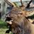 Mike Schultz's profile image