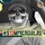 Mario Limon's profile image