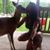 Trixxe McCowin's profile image