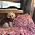 Sherry Hardy's profile image