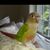 Jeff Levy's profile image