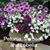 Sharon Kirkland Hale's profile image