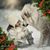 Cynthia Bailey Cushinan's profile image