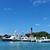 Mary A. Fanelli-Dove's profile image