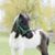 Jacque Corsentino's profile image