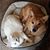 Kathy Byrn's profile image