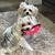 Racheal Abadie's profile image