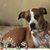 Cindy Shute Peterson's profile image