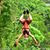 Lynn Husen Gourley's profile image