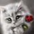 Joe Ann Sunny's profile image