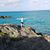 Amanda Marie Hall's profile image