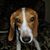 Breena Telfer's profile image