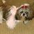 Kathy Jenkins's profile image