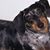 Linda Heuer Kraly's profile image