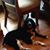 Deborah Wildhage's profile image