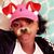 Brandi Taylor's profile image