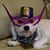 Deborah Nolte's profile image