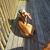Jewels Fotorny Riedy's profile image