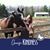 Erica Jo Stygstra's profile image