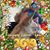 Linda Zalot Heppner's profile image