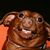 Mike Willett's profile image