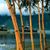 Susan Day Raines's profile image