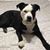 Brenda Moquin Della Rocca's profile image