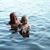 Karen Gervais's profile image
