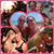 Jeannette Graunke's profile image