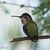 Julie Campbell's profile image