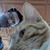Ren Bleem's profile image