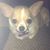 Lee Maynard's profile image