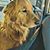 Lou Boender Bartscher's profile image