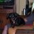 SlinkyBrady Packert's profile image