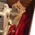 Reva Dawn's profile image