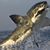 Tebeth Lotz-Gilbert's profile image