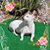 Lisbeth Alvarado's profile image