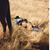 Dusty Beals's profile image