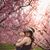 Racheal Hall's profile image