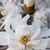 Barbara Gypsy's profile image