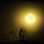 Navaid Shaikh's profile image