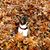 Christine Wagner McBride's profile image