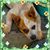 Vicki Harber's profile image