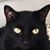 Margarita Lapeyrade's profile image