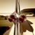 Joseph L. Comer III's profile image