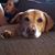 John B. Wilk's profile image