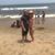 Breanna Parrish's profile image