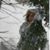 Beth McCormack Bernitt's profile image